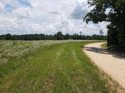 BELL SISTERS ROAD, LUMPKIN, GA 31815