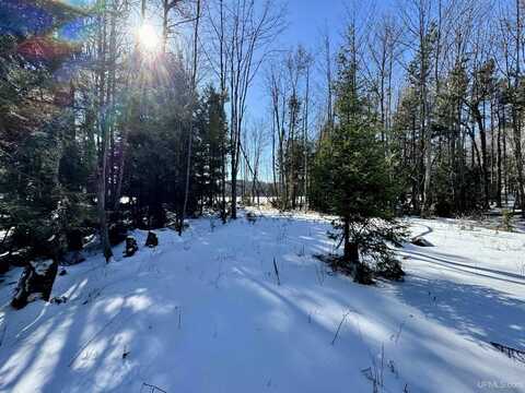 TBD ENGMAN LAKE ACCESS, SKANDIA, MI 49885