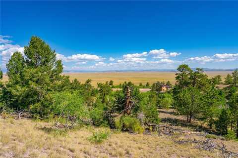 153 Mane Way, Hartsel, CO 80449