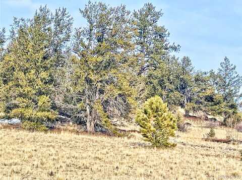 160 Breech Trail, Como, CO 80432