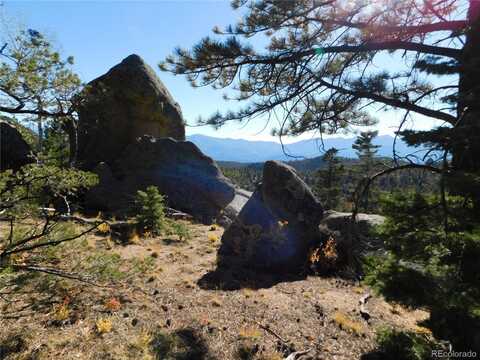 Turkey Springs Drive, Cotopaxi, CO 81223