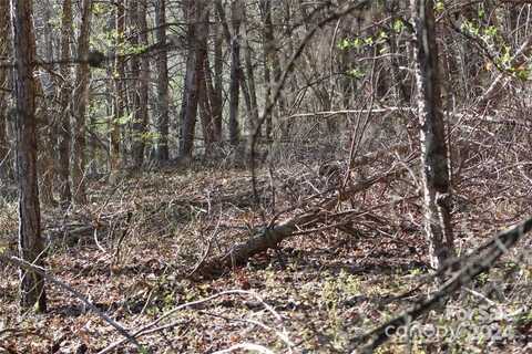 Laurel Valley Drive lot: 30, Marion, NC 28752