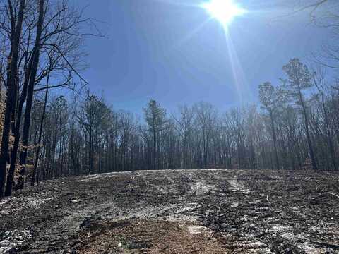 0 Excalibur Trail (Lot 267), Cedar Grove, TN 38321