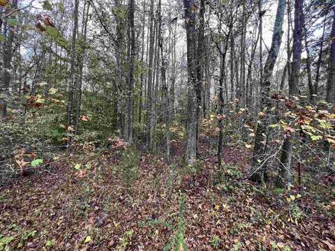 Excalibur Trail (Lot 261), Cedar Grove, TN 38321