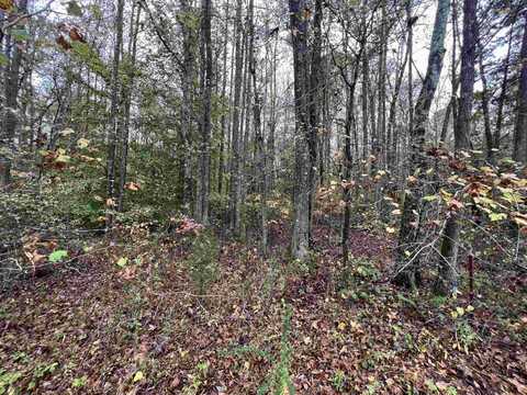 0 Excalibur Trail (Lot 261), Cedar Grove, TN 38321