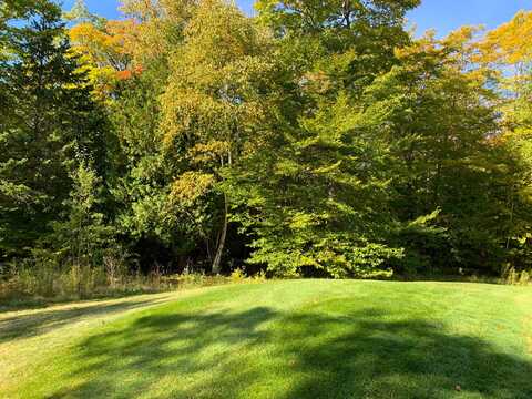 Lot 36 Spruceview LN, Mackinac Island, MI 49757