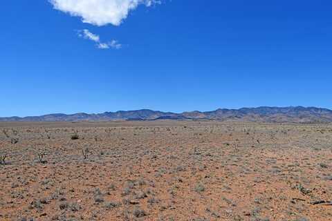 Lot 11 Prong Horn Road, San Antonio, NM 87832