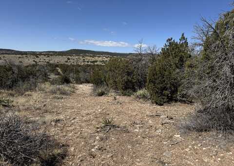 156a County Line Road, Edgewood, NM 87015