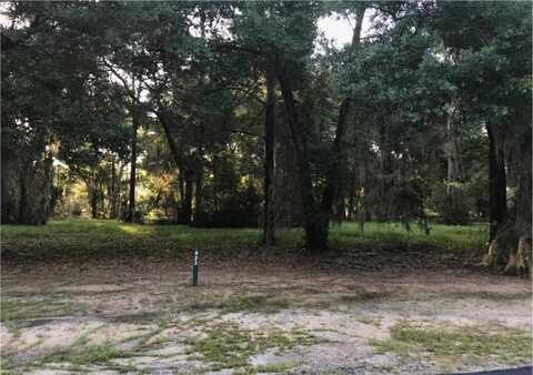 Lot 423 Coopers Landing Drive, Townsend, GA 31331