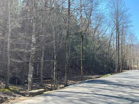 Lots 4-9 Country Oaks Drive, Pigeon Forge, TN 37863