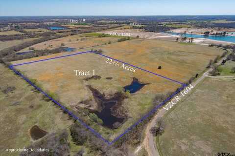 Tract 1 CR 1604, Grand Saline, TX 75140