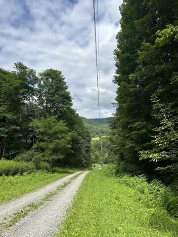 Tract Two Little Mountain Dr, Hillsboro, WV 24946