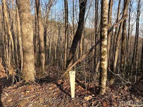 Lot 20 Rock Creek Court, Sapphire, NC 28774