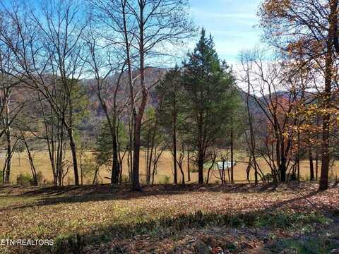 2529 Dry Valley ROAD, Thorn Hill, TN 37881