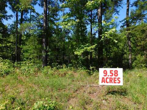 9.58 AC Fowler Trail, South Boston, VA 24592