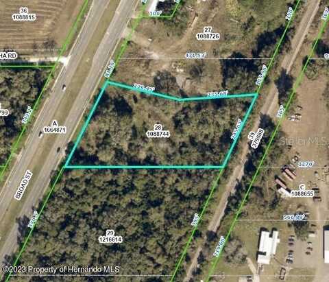 1396 BROAD STREET, BROOKSVILLE, FL 34604