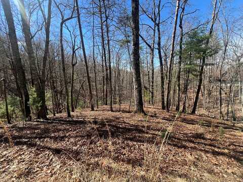 Lot 6 Mountain Drive, MURPHY, NC 28906