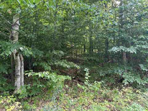 Lot 7 High Pines, Boyne City, MI 49712