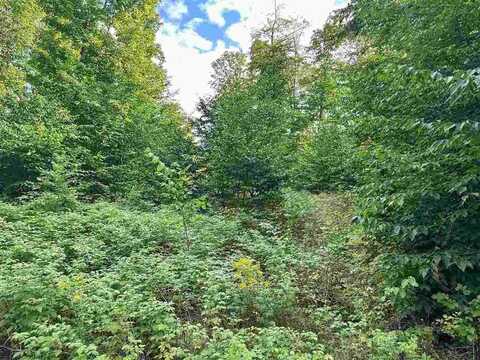 Lot 8 High Pines, Boyne City, MI 49712