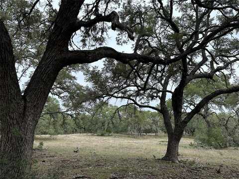 Lot 43 S Waterbuck Way, Lampasas, TX 76550