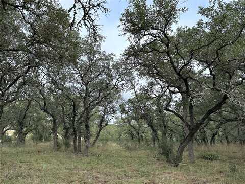 Lot 42 S Waterbuck Way, Lampasas, TX 76550