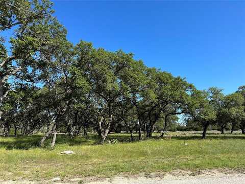 Lot 125 Red Stag Court, Lampasas, TX 76550