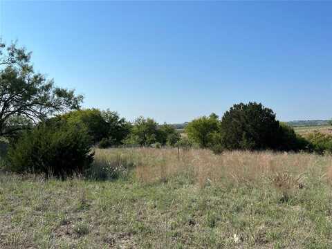 Tbd FM 2005, Hamilton, TX 76531