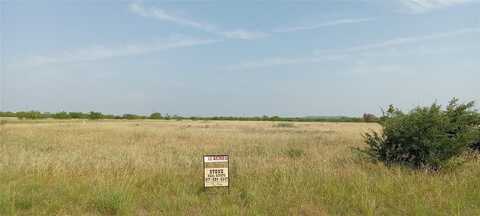 Lot 55r Mourning Dove Court, Graford, TX 76449