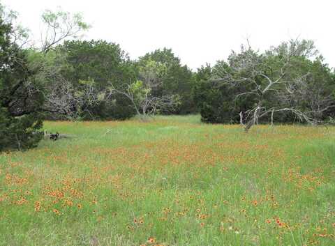 Tbd-lot 41 PR 42107, Evant, TX 76525