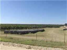 2909 County Road 304, Comanche, TX 76442