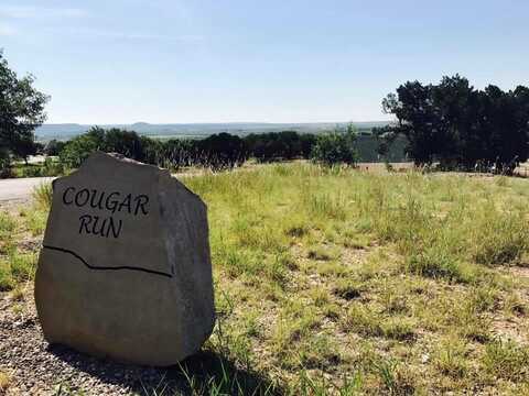 133 Cougar Run, Tuscola, TX 79562