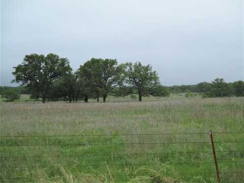 Tr 5 FM 2190, Jacksboro, TX 76458