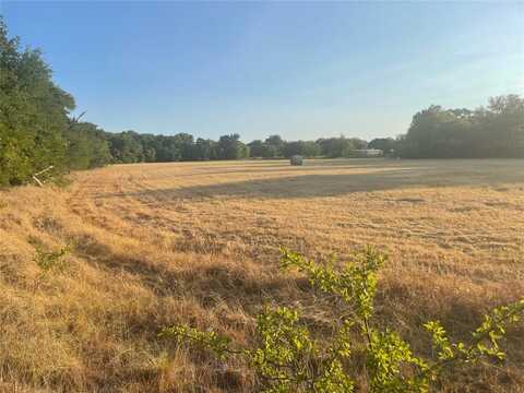 100 Bearden Lane, Mingus, TX 76453