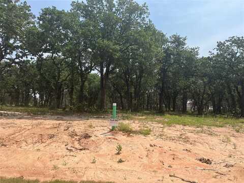 316 Peace Lily Way, Tolar, TX 76476