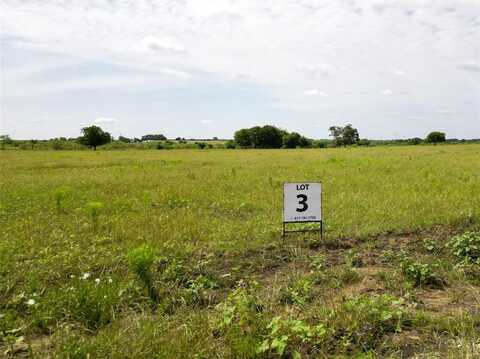 Lot 3 Tbd Private Road 415, Covington, TX 76636