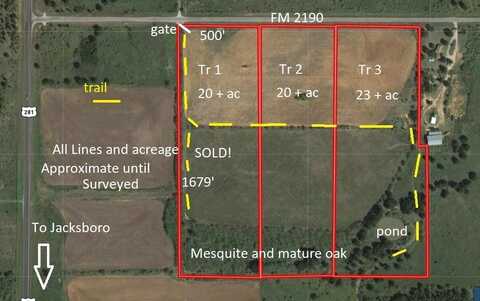 Tr 3 FM 2190, Jacksboro, TX 76458