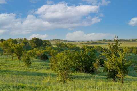 1008 Bear Creek Ranch, Aledo, TX 76008