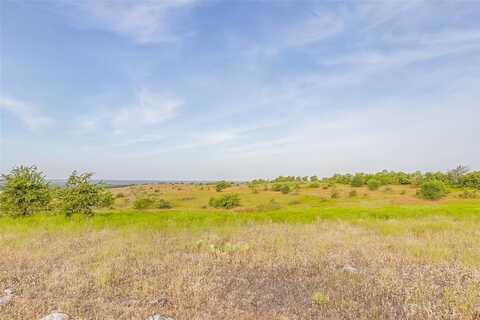 Lot 1r Old Springtown Road, Weatherford, TX 76085
