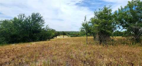 1084 Gonzollas Road, Springtown, TX 76082