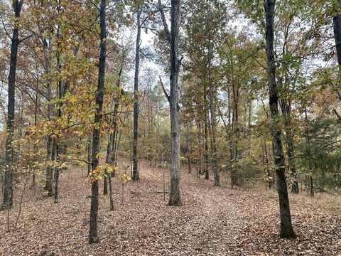 0 South of North Rosser Road, Tuscaloosa, AL 35405