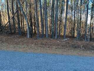 Lot 30 Yellow Creek Rd, Leesburg, AL 35983