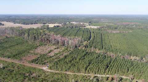 Otter Hole Branch Road, Pembroke, GA 31321