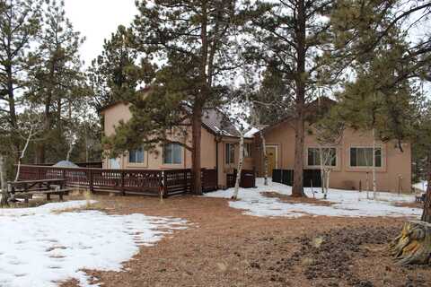 38 Pawnee Creek Dive, Lake George, CO 80827