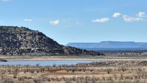 Highway 104, Conchas, NM 88416