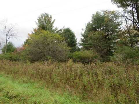 0 Route 41, Willet, NY 13754