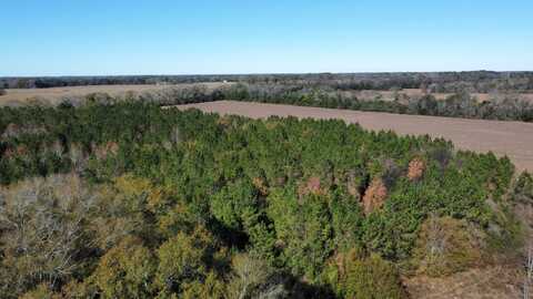 0 County Road 33, Headland, AL 36345