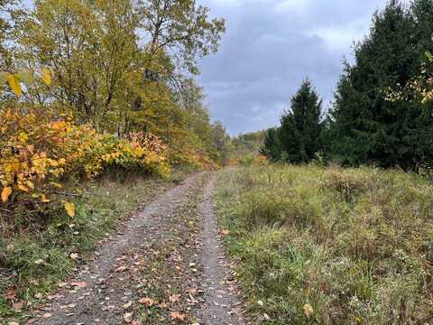 00 Skyline Drive, Saltsburg, PA 15684