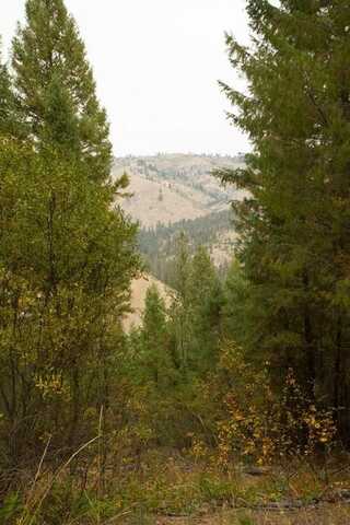 Idaho Highway 21, Idaho City, ID 83631