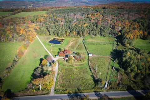 2070 Watkins Rd, Moravia, NY 13118