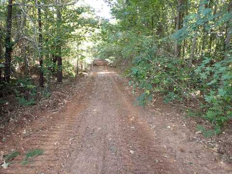 0 Hwy 14 - Tract 3 Green Street, Marion, AL 36756
